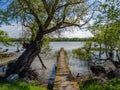 Old wooden pontoon in the Danube Delta