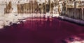 Old wooden posts left after mining salt on the shore of a salt lake. Bars in salt on a salty pink lake with bright pink water. Ref