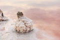 Old wooden posts left after mining salt on the shore of a salt lake. Bars in salt on a salty pink lake