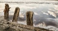 Old wooden posts left after mining salt on the shore of a salt lake. Reflection of clouds in the water surface.