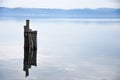 Old Wooden posts in the middle of a quiet lake Royalty Free Stock Photo