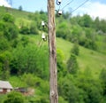 Old wooden power pole on a background of blue sky Royalty Free Stock Photo