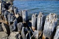 Old wooden pylons deteriorated on the Great Lakes Royalty Free Stock Photo