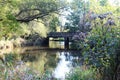 Old wooden road bridge reflection river lush forest Royalty Free Stock Photo