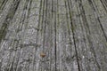 Old Wooden Roof Background Aged Cabin Wood Texture Natural Timber Wall