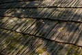 Old wooden roof of a house in the forest Royalty Free Stock Photo