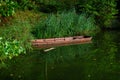 Old wooden row boat on green lake surrounded Royalty Free Stock Photo