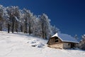 Old wooden rustic house, Romania, Sirnea Royalty Free Stock Photo