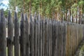 Old wooden sharp fence in the forest Royalty Free Stock Photo