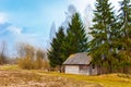 Old wooden shed among firtrees and birches. Belarusian village Royalty Free Stock Photo