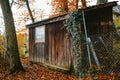 Old wooden shed with glass window in a forest. Autumn scene, wire fence, fall colors, no people Royalty Free Stock Photo