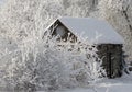 Old wooden shed during a snowfall