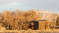 Old wooden shed winter bare trees and distant mesa Royalty Free Stock Photo