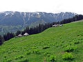 Old wooden sheepfold / cottage / cabin in the mountains Royalty Free Stock Photo