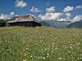 Old wooden sheepfold / cottage / cabin in the mountains Royalty Free Stock Photo