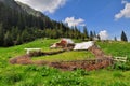 Old wooden sheepfold