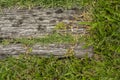 Old wooden sheets on grass Royalty Free Stock Photo