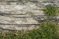 Old wooden sheets on grass Royalty Free Stock Photo