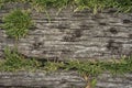 Old wooden sheets on grass Royalty Free Stock Photo