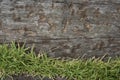 Old wooden sheets on grass Royalty Free Stock Photo