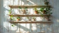 Old wooden shelves painted white with pots of green plants. Gardening concept for storage. Generative AI Royalty Free Stock Photo