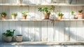 Old wooden shelves painted white with pots of green plants. Gardening concept for storage. Generative AI Royalty Free Stock Photo