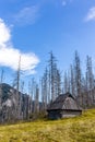 Old wooden shepherd`s hut on a glade in Tatra Mountains, Poland Royalty Free Stock Photo