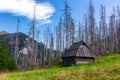 Old wooden shepherd`s hut on a glade in Tatra Mountains, Poland
