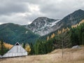 Old wooden shepherd's hut Royalty Free Stock Photo