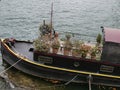 Old wooden ship in Paris with plants