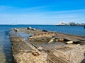 Old wooden ship sunk. Tallinn