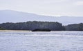 Old wooden ship wrecks on the beach by the sea