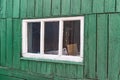 An old wooden small window with a frame of boards painted white and thin glass. On a battered wall of wooden planks with green pai Royalty Free Stock Photo