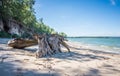 Old wooden snag on the shore of a deserted tropical island. The effects of tropical storm Royalty Free Stock Photo