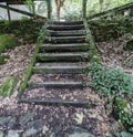 Old wooden staircase covered with moss and a lot of litter on th Royalty Free Stock Photo