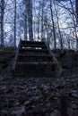 Old wooden staircase over a stone wall, in a forest in northern Sweden. Birch trees in the background, fallen leaves in the foregr Royalty Free Stock Photo