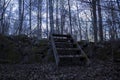 Old wooden staircase over a stone wall, in a forest in northern Sweden. Birch trees in the background, fallen leaves in the foregr Royalty Free Stock Photo