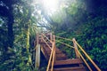 Old wooden stairs Royalty Free Stock Photo