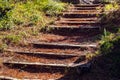 Old wooden stairs through the forest