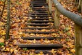 Old wooden stairs in the forest Royalty Free Stock Photo