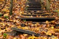 Old wooden stairs in the forest Royalty Free Stock Photo