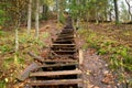 Old wooden stairs in the forest Royalty Free Stock Photo