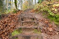 Old wooden stairs in the forest Royalty Free Stock Photo