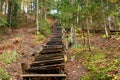 Old wooden stairs in the forest Royalty Free Stock Photo