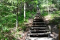 Old wooden stairs in the forest. Sigulda. Royalty Free Stock Photo