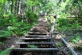 Old wooden stairs in the forest. Sigulda. Royalty Free Stock Photo