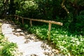 Old wooden stairs in the park Royalty Free Stock Photo