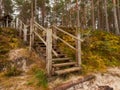 Old wooden stairs in a park leading into pine forest, famous Jurmala tourist area, Latvia. Fine example of using natural materials