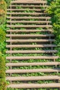 Old wooden stairway in the park Royalty Free Stock Photo