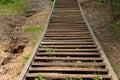 Old wooden stairway in a park Royalty Free Stock Photo